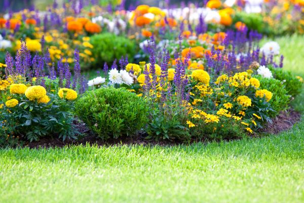 Flower Bed Maintenance in Grand Junction
