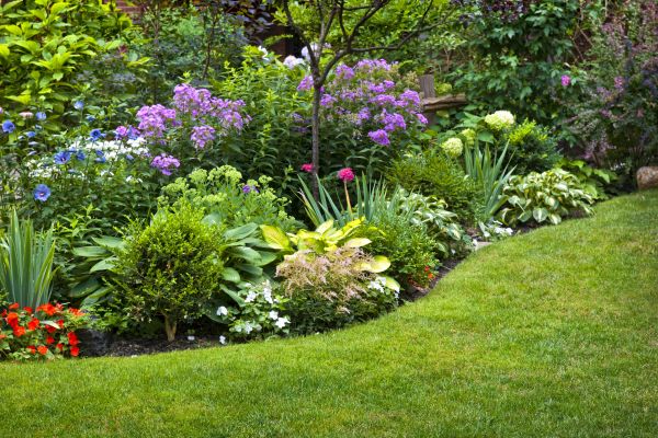 Flower Bed Service in Grand Junction