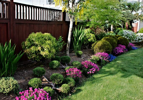 Garden Care Service in Grand Junction