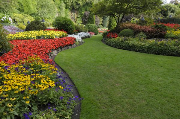Landscaping Maintenance in Grand Junction