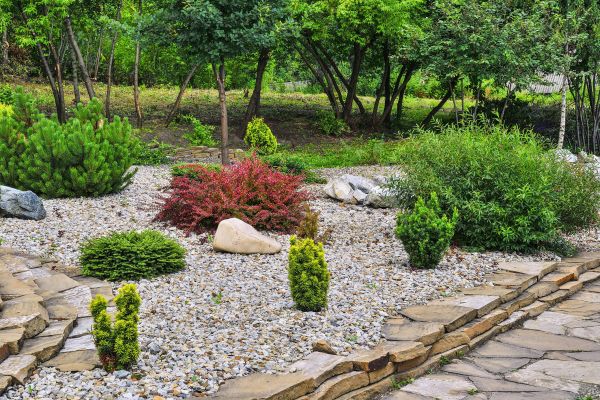 Rock Landscaping in Grand Junction