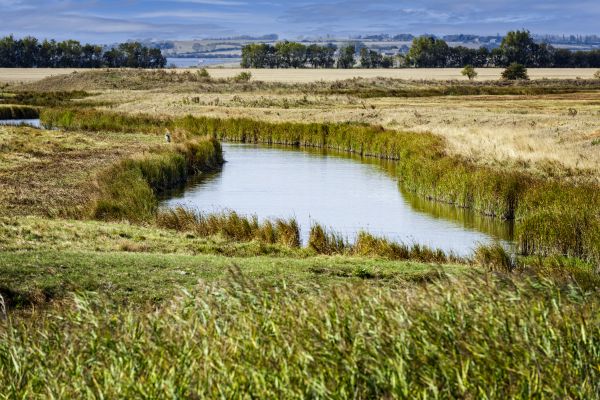 Swale Landscaping in Grand Junction