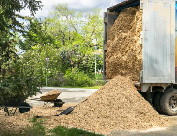Wood Chips Delivery in Grand Junction
