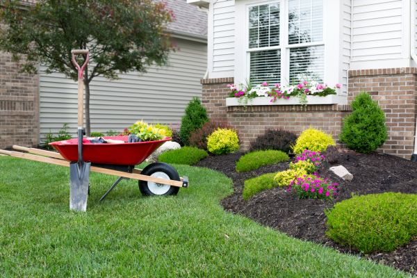 Landscape Maintenance Service in Grand Junction