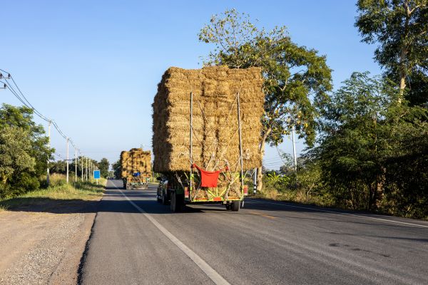 Pine Straw Delivery in Grand Junction