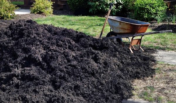 Black Mulch Delivery in Grand Junction