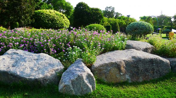 Boulder Landscaping in Grand Junction