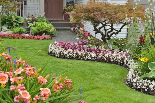 Perennial Landscaping in Grand Junction