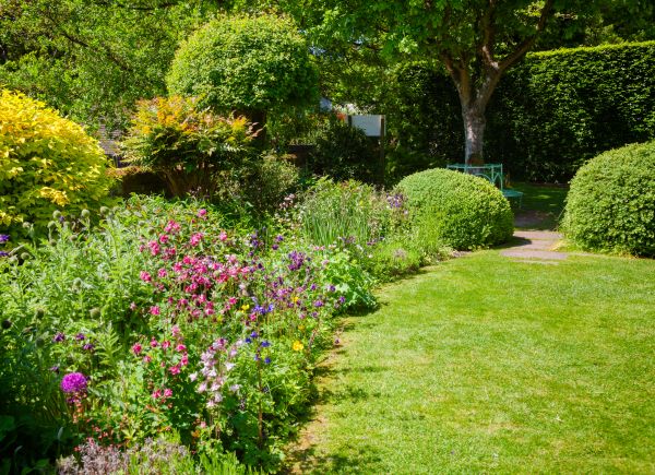 Yard Landscaping Service in Grand Junction
