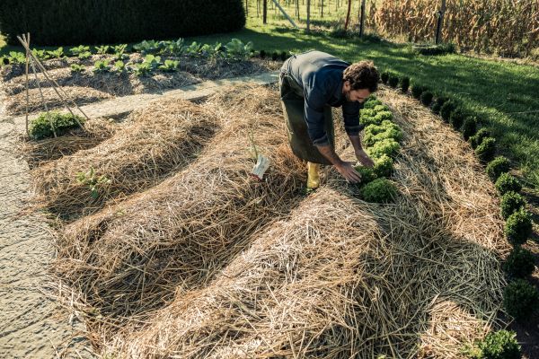 Straw Mulching Service in Grand Junction