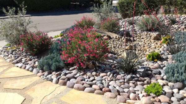Xeriscape Landscaping in Grand Junction