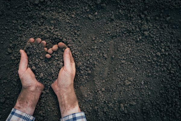 Soil Installation in Grand Junction