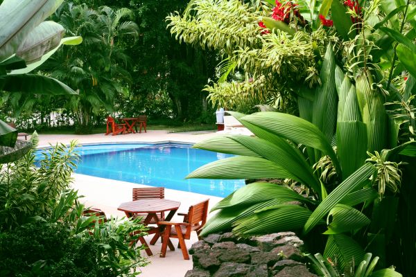 Tropical Garden Landscaping in Grand Junction