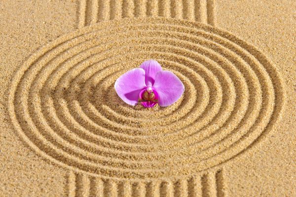 Sand Garden Landscaping in Grand Junction
