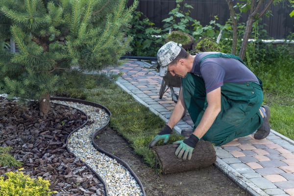 Landscaping Modification in Grand Junction