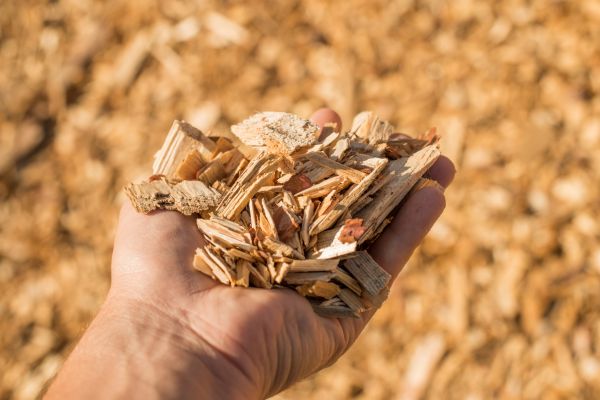 Wood Chips Spreading in Grand Junction