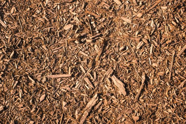 Wood Chips Removal in Grand Junction