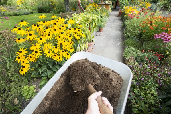 Topsoil Replacement in Grand Junction