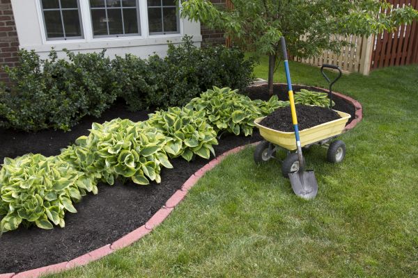 Landscape Mulching in Grand Junction