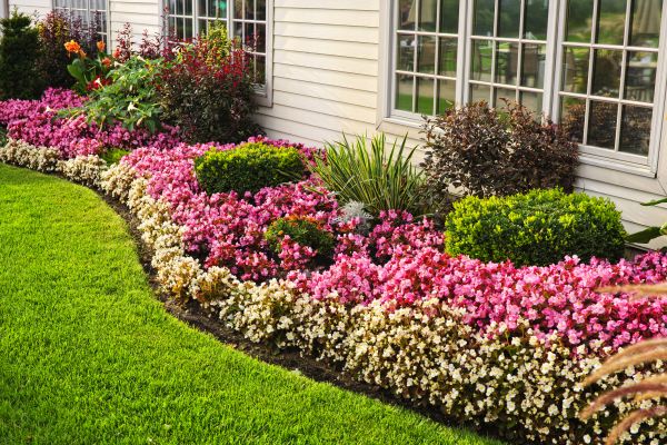 House Landscaping in Grand Junction