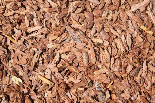 Pine Mulch Spreading in Grand Junction