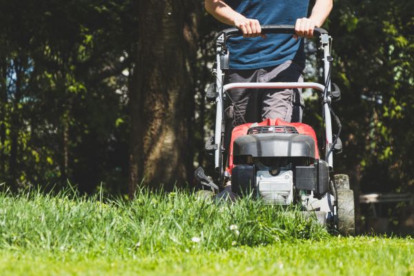 Garden Trimming Service in Grand Junction