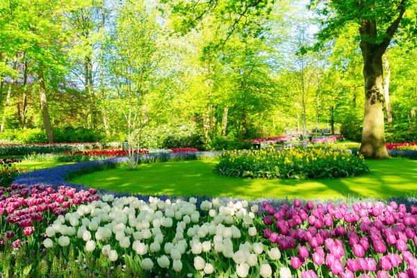 Flower Landscaping in Grand Junction