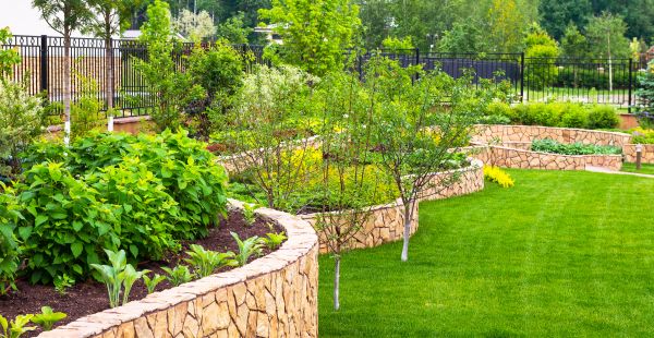 Yard Makeover Service in Grand Junction