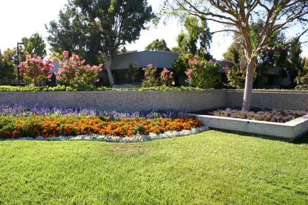 Commercial Landscape Service in Grand Junction