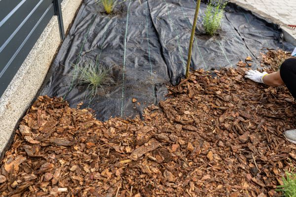 Pine Bark Spreading in Grand Junction