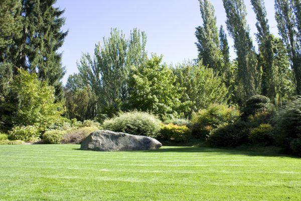 Yard Enlargement in Grand Junction