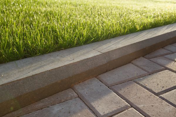 Lawn Edging Replacement in Grand Junction