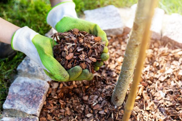 Tree Bark Delivery in Grand Junction