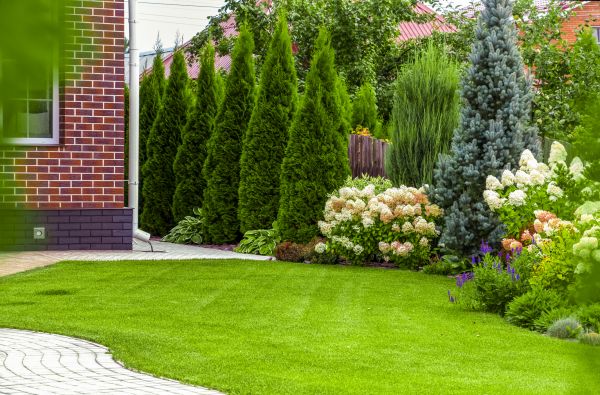 Spring Landscaping in Grand Junction