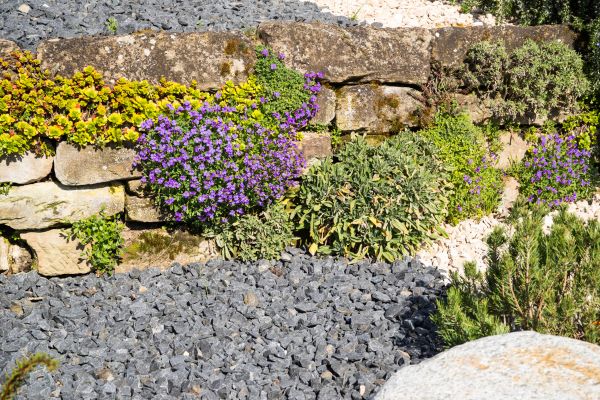 Landscaping Rocks Installation in Grand Junction
