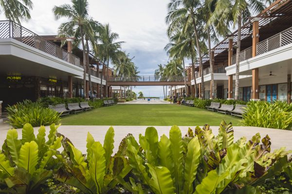 Commercial Lawn Renovation in Grand Junction