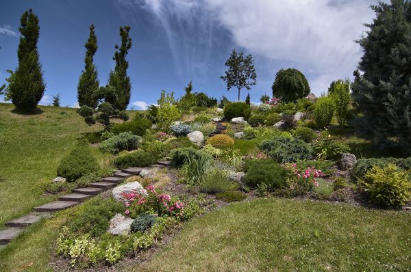 Steep Terrain Landscaping in Grand Junction