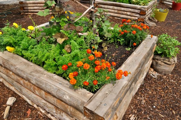 Raised Bed Installation