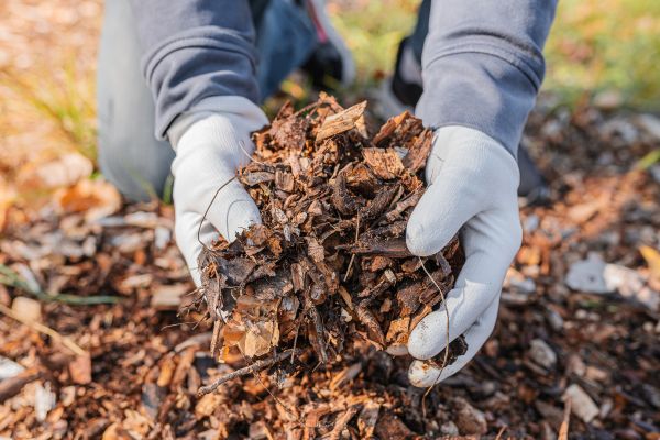 Shredded Mulch Installation in Grand Junction