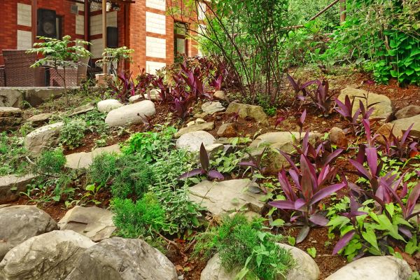 Rock Garden Landscaping in Grand Junction