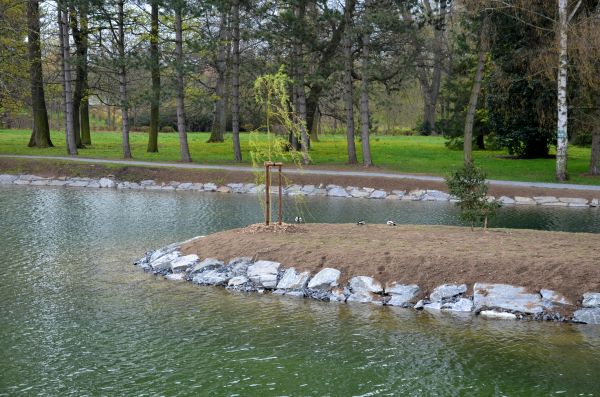 Pond Landscaping Service in Grand Junction