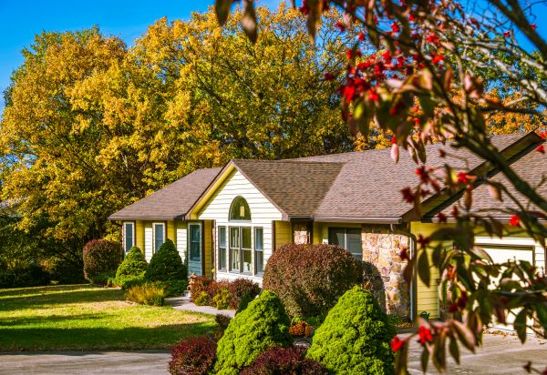 Ranch Landscaping in Grand Junction