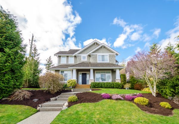 Landscaping Replacement in Grand Junction